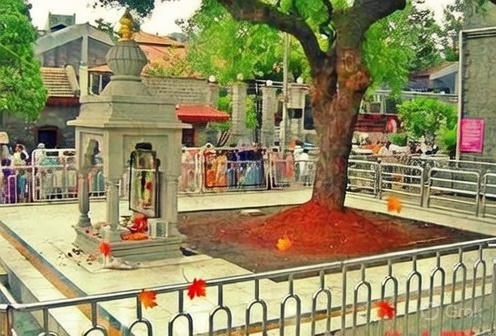 077a1b6b c8d0 4d04 9368 9ac5cab56eb8