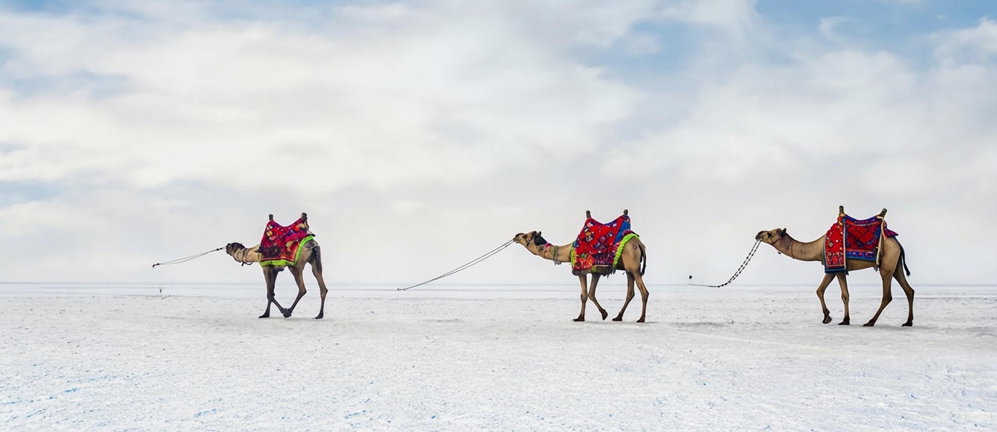 527949b7 e641 4d02 bfbb 32691775d322