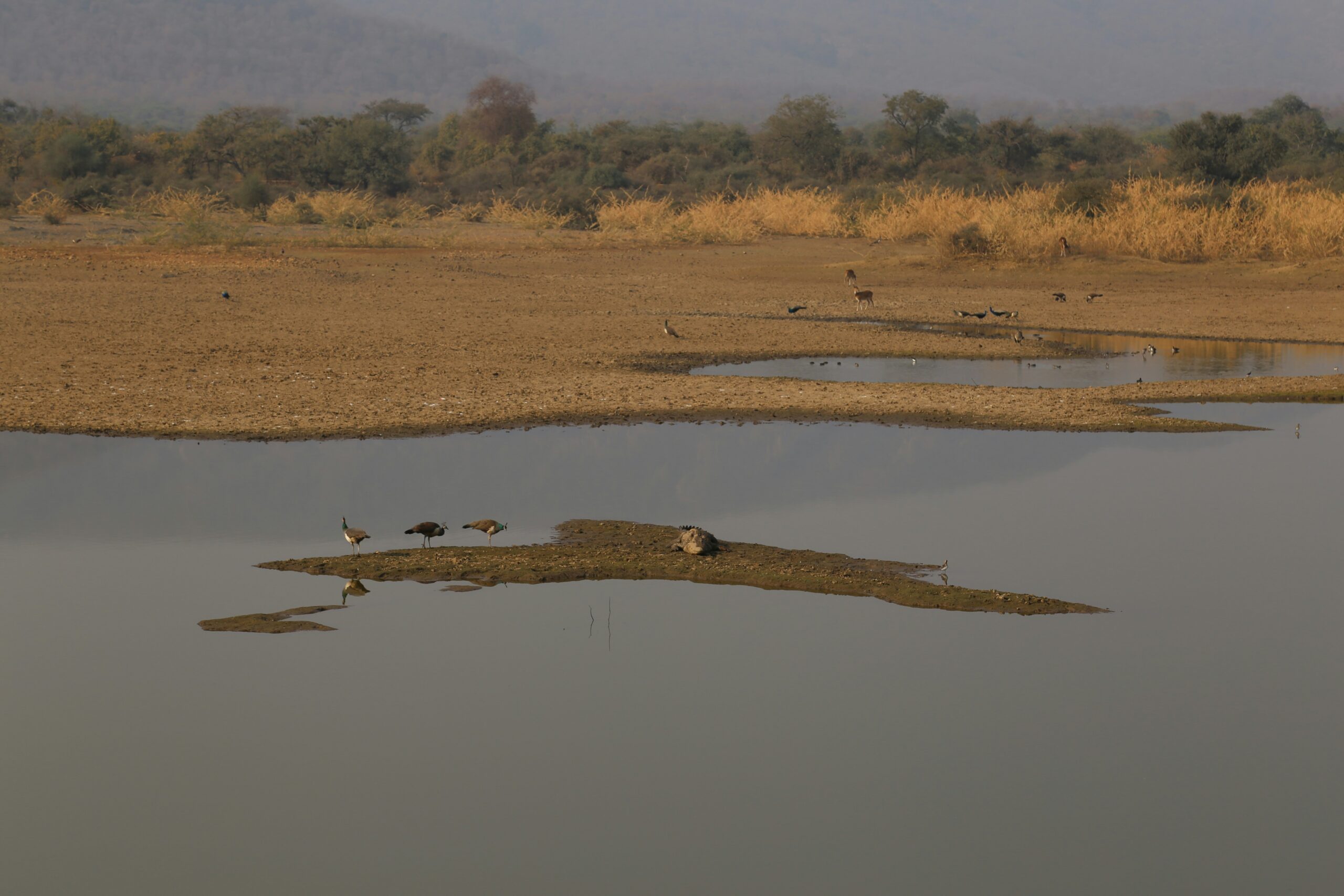 abhijeet parmar n0vxc02drfs unsplash