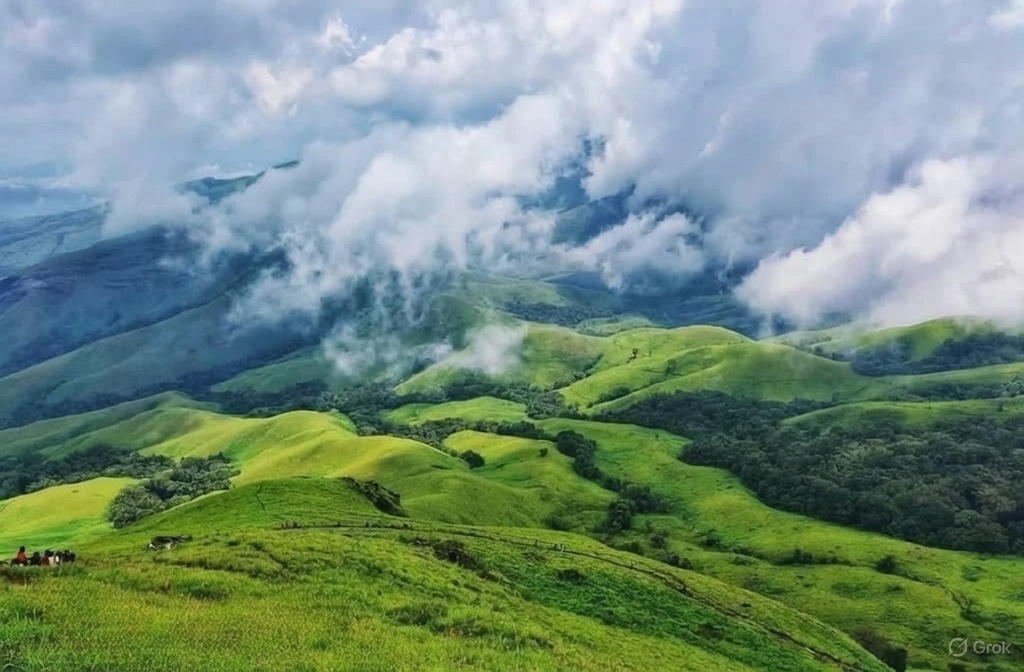 f5896b30 4831 43dc 8884 52e3a99955eb